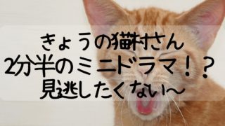 今日の猫村さん,きょうの猫村さん,放送開始日いつ,見逃し,放送局,テレ東,松重さん