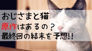 おじさまと猫,原作,脚本,あらすじ,最終回,結末,予想,おじねこ